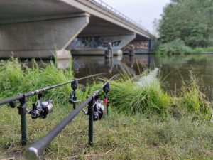 Lees meer over het artikel Shimano karperhengels, een uitstekende keuze!