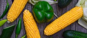 Lees meer over het artikel Supermarktaas? De top 5 supermarktaas voor het karpervissen