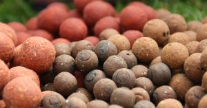 Lees meer over het artikel Karpervissen Met Boilies