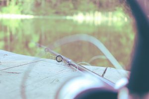 Lees meer over het artikel Visvakantie in Limburg? Roompot Weerterbergen!