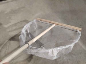 Lees meer over het artikel Garnalennet kopen voor op het strand? Hier de beste opties!