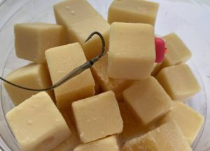 Lees meer over het artikel Karpervissen Met Kaas | Hoe vis je met kaas?