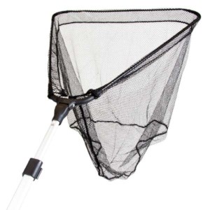 Roofvis schepnet, snoeken, snoekbaars vissen, baars vissen