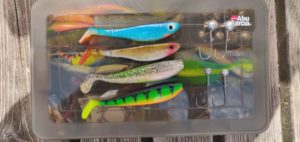 Lees meer over het artikel Met Shads Vissen? Lees Hier Alles Over Shads!