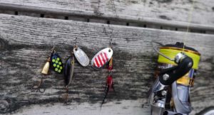 Lees meer over het artikel Met Spinners Vissen? Lees Hier Alles Over Spinners!