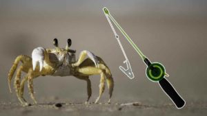 Lees meer over het artikel Krabhengel Kopen? Krabben Vangen Met Een Krabhengel!