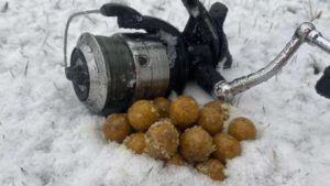 Lees meer over het artikel Welke boilies in de winter voor het karpervissen?