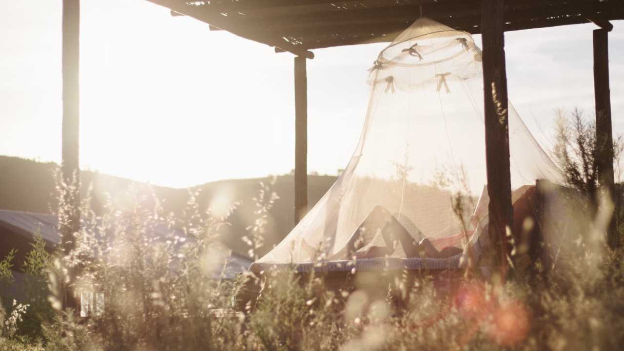 muggen bestrijden klamboe