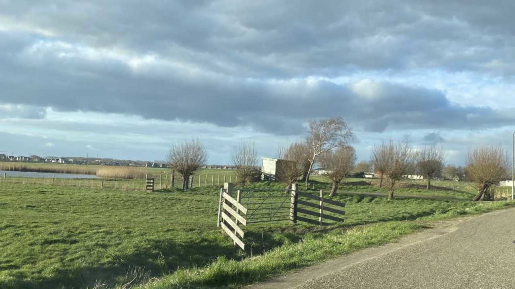 Vogelkijkhut Haarlem