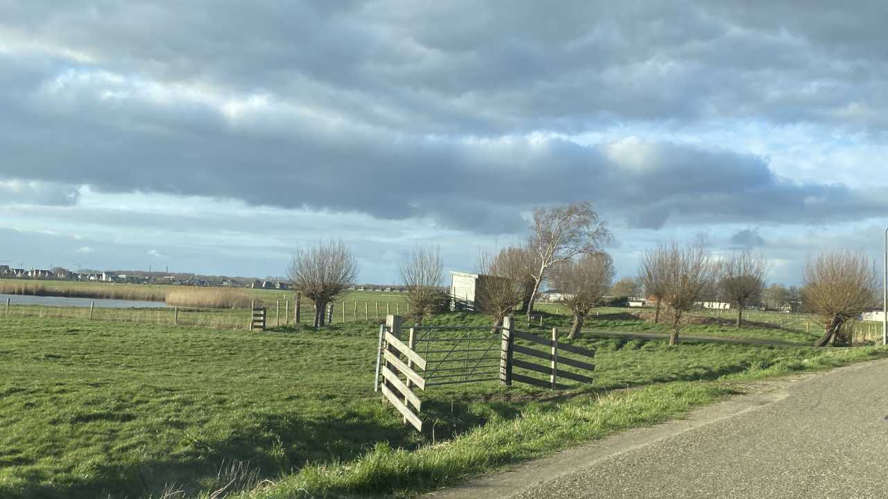 Vogelkijkhut Haarlem