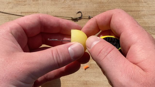 Krieltje op boilienaald