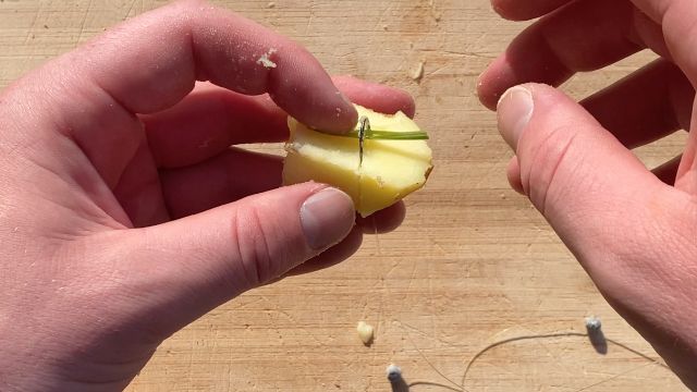 Penvissen met gekookte aardappels stap 3