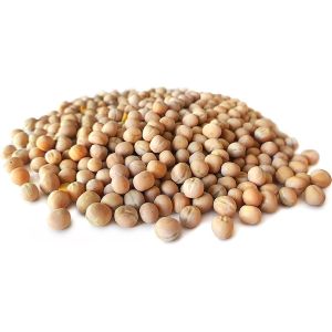 erwten karper particles