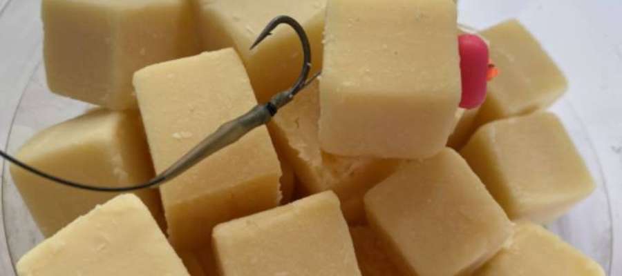 karpervissen met kaas