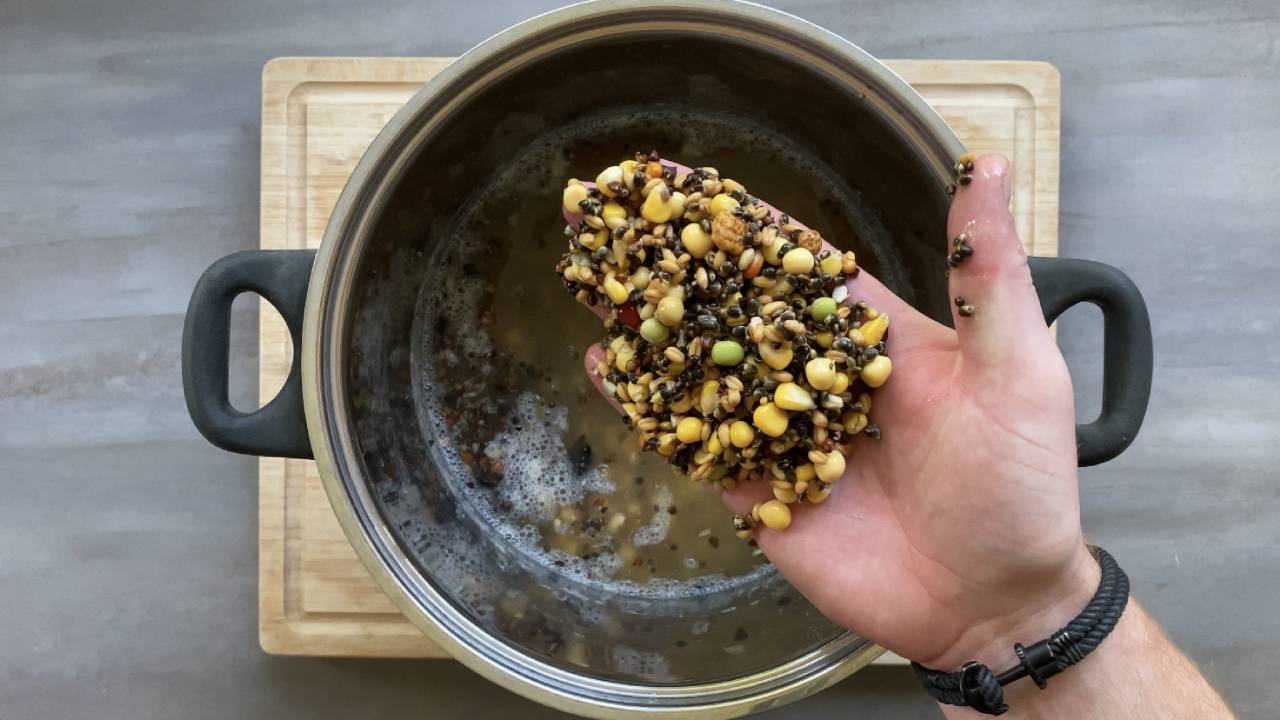 Lees meer over het artikel Duivenvoer koken als lokaas voor het karpervissen