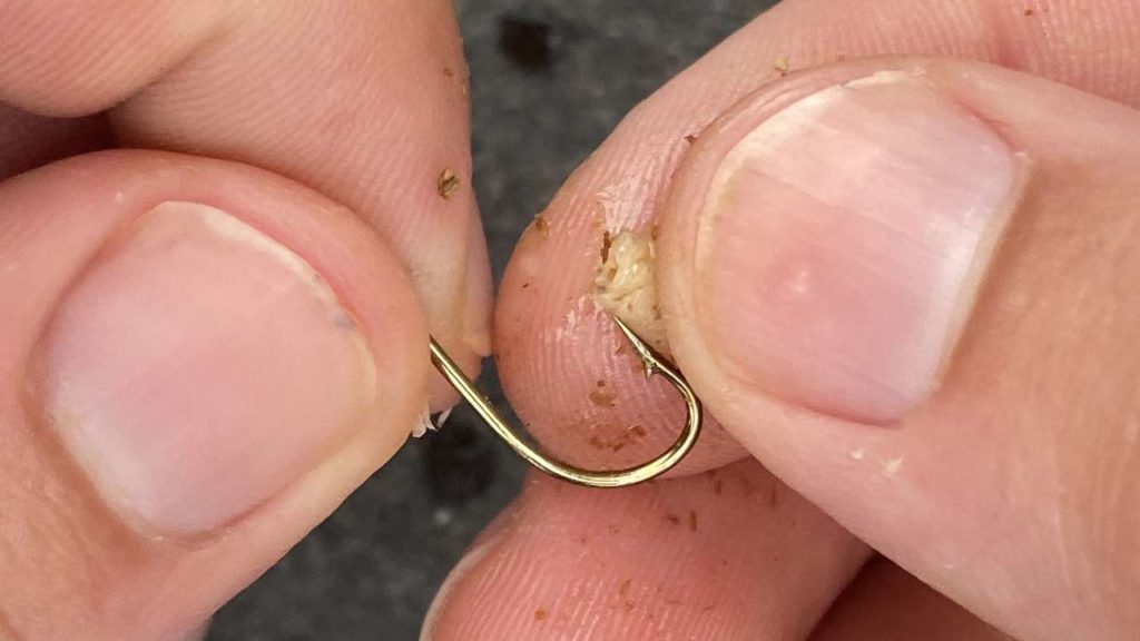 Stap 2 voor het vissen met maden