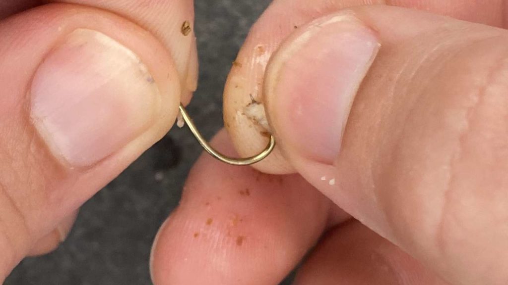 Stap 3 voor het vissen met maden