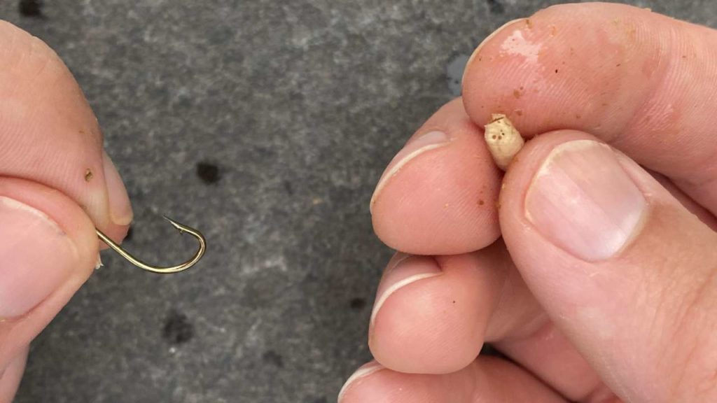 stap 1 voor het vissen met maden