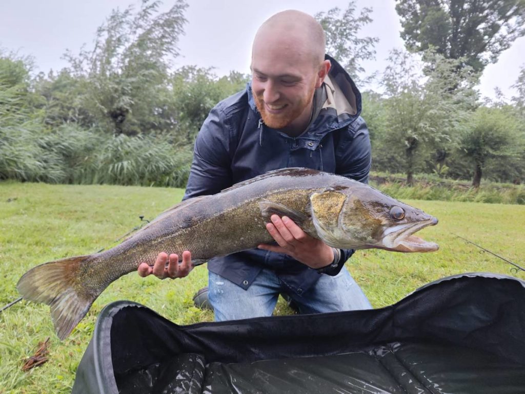 Bloodworm boilies snoekbaar