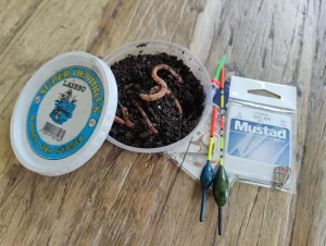 Lees meer over het artikel Vissen Met Wormen: De Ultieme Gids Voor Succes!