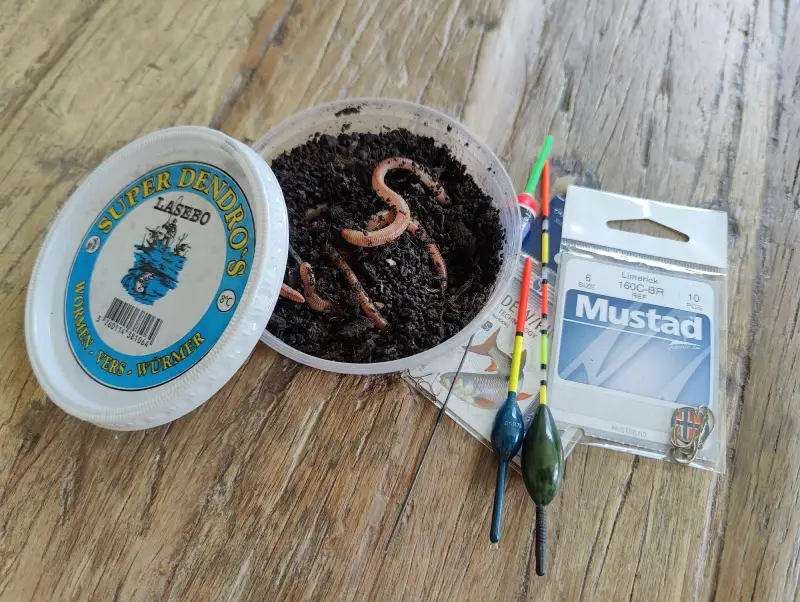 Lees meer over het artikel Vissen Met Wormen: De Ultieme Gids Voor Succes!