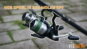 Lees meer over het artikel Nieuwe nylon lijn opspoelen? Gebruik deze handige stappen!