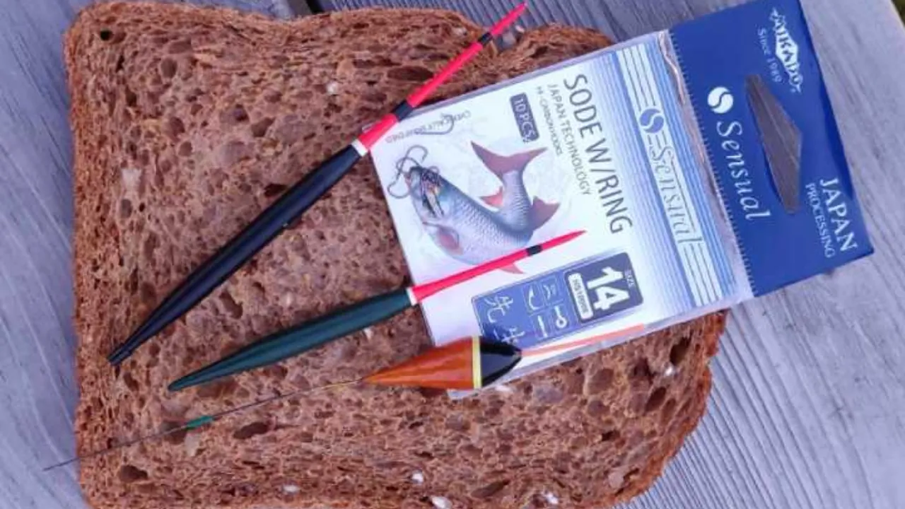 Voorn vissen - vissen met brood