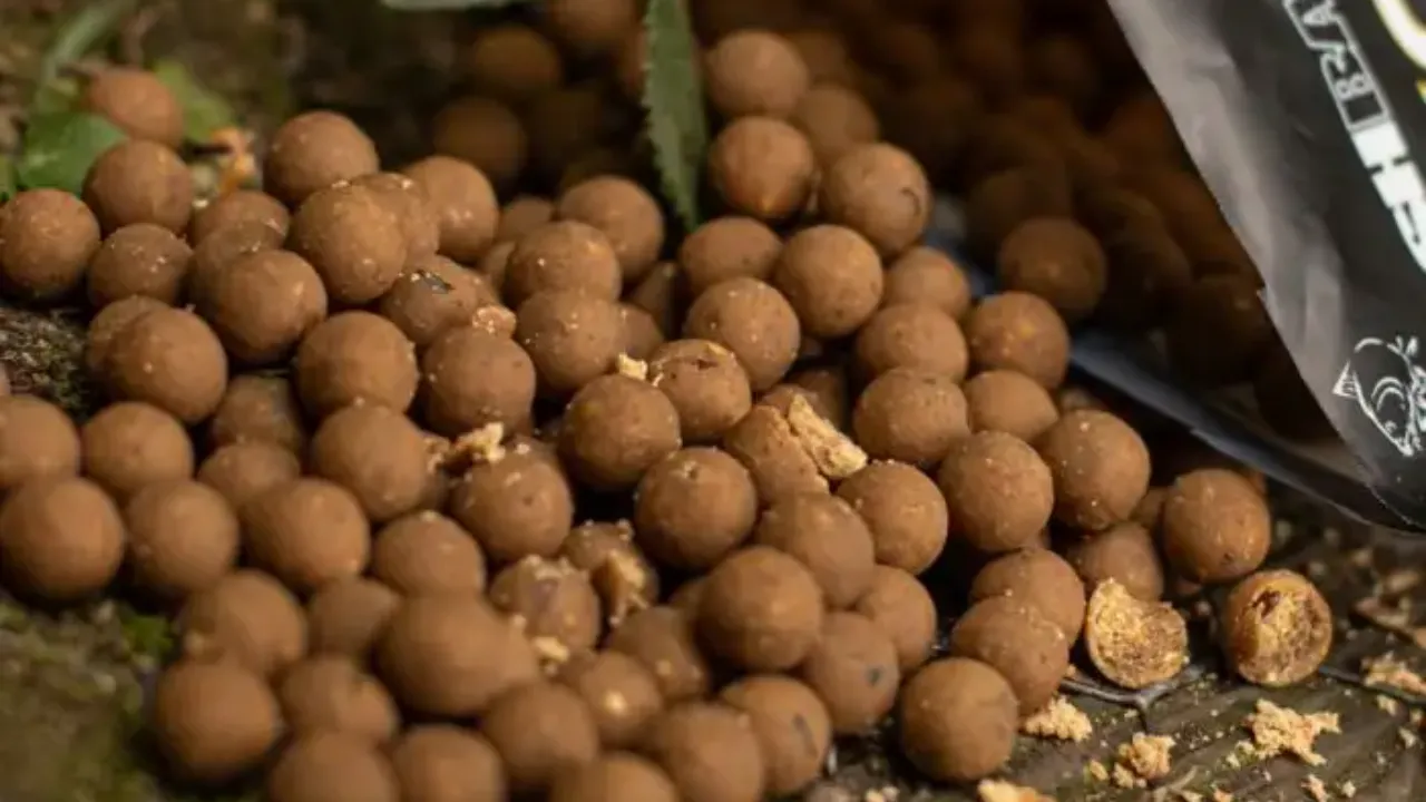 Lees meer over het artikel Vismeel Boilies Voor Het Karpervissen Gebruiken? Lees Hier Alles!