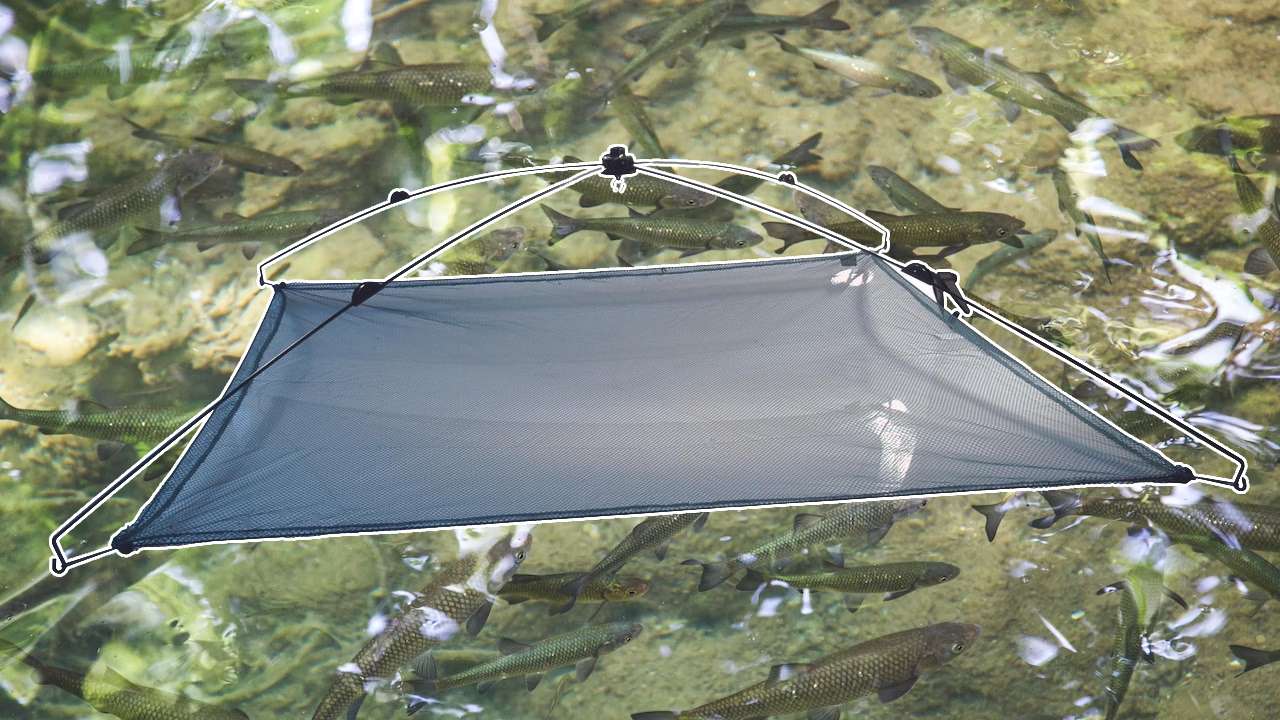 kruisnet kopen kruisnet vissen