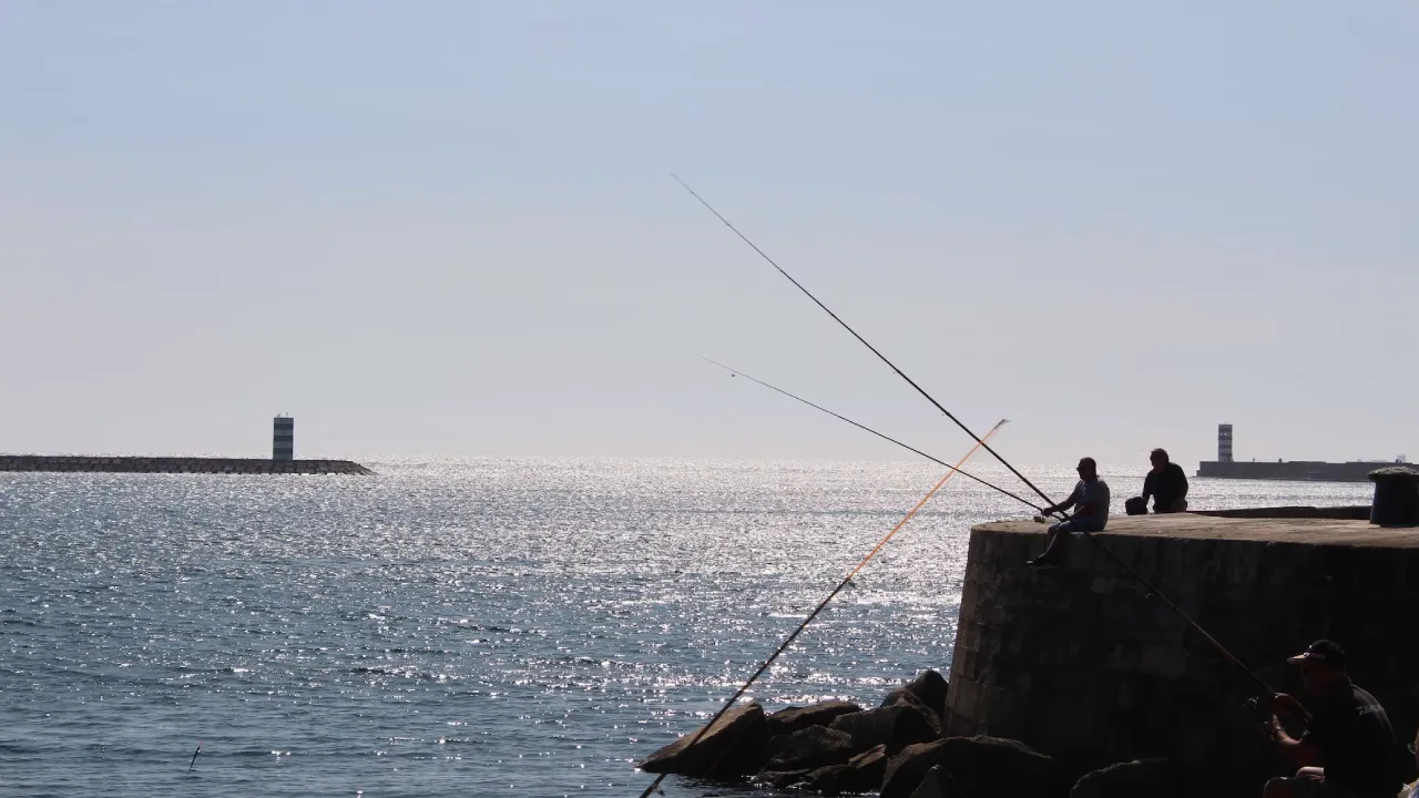 Lees meer over het artikel Paternoster Vissen: De Ultieme Gids Technieken, Types en Tips