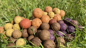 Lees meer over het artikel Wat zijn de beste boilies in de zomer voor het karpervissen?