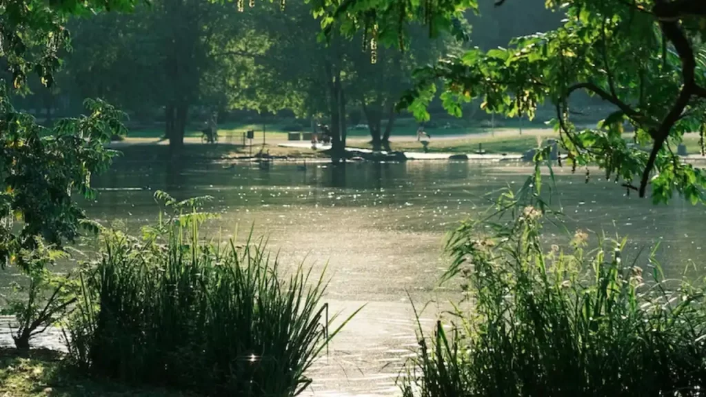 welke smaak boilie in de zomer
