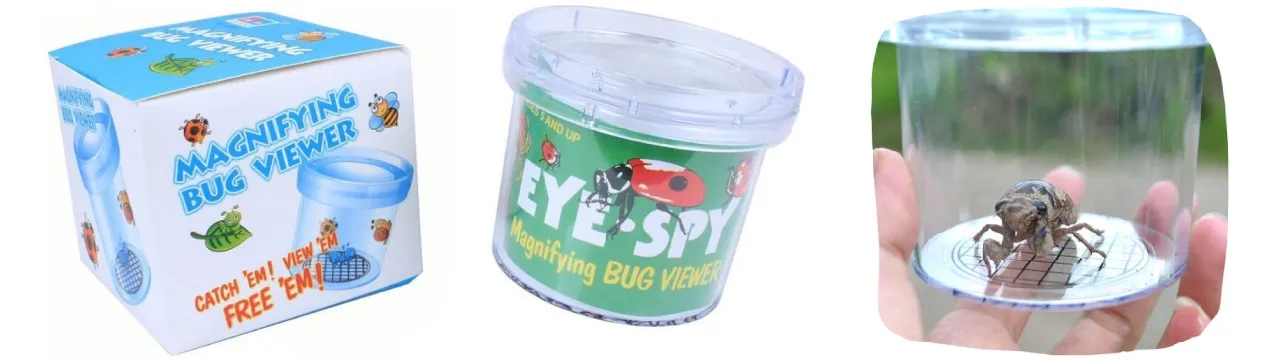 Accessoires vlindernet