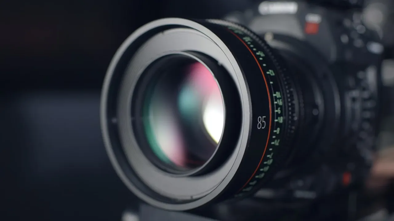 Waar gebruik je een vlindernet voor