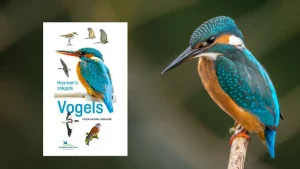 Vogelgids kopen