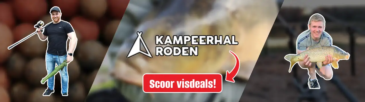 Visviews home banner